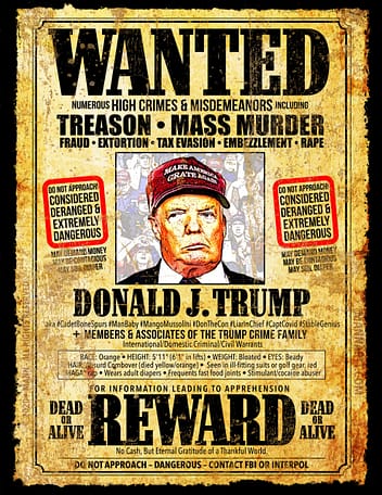 ANTI TRUMP POSTER / DONALD TRUMP POSTER / FUNNY OLD WEST WANTED POSTER art, done as an "old west" style, weathered broadsheet.